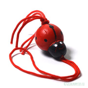 Gelukspoppetje lieveheersbeestje