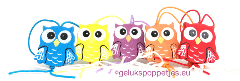 Gelukspoppetje platte uiltjes assorti